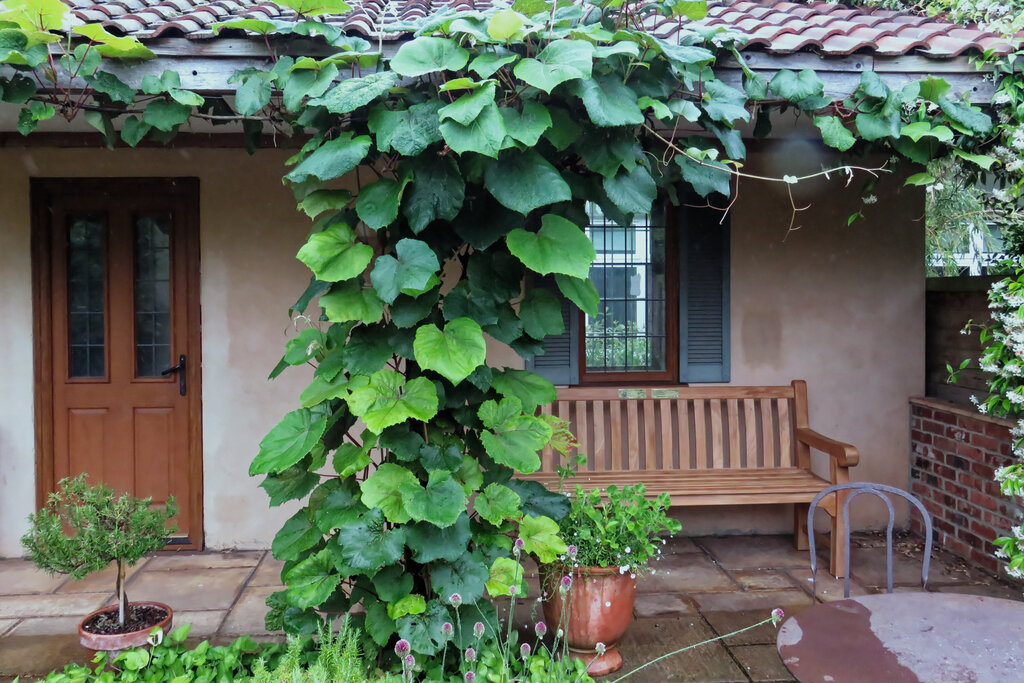 Lesson image