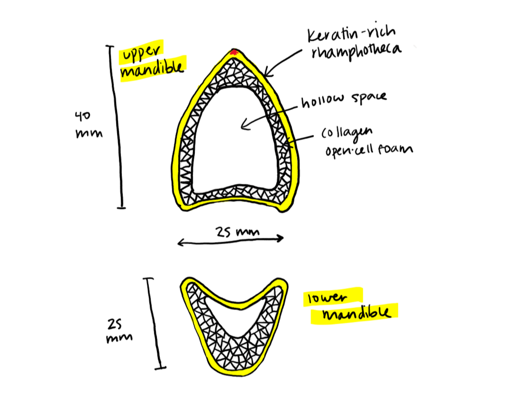 Lesson image