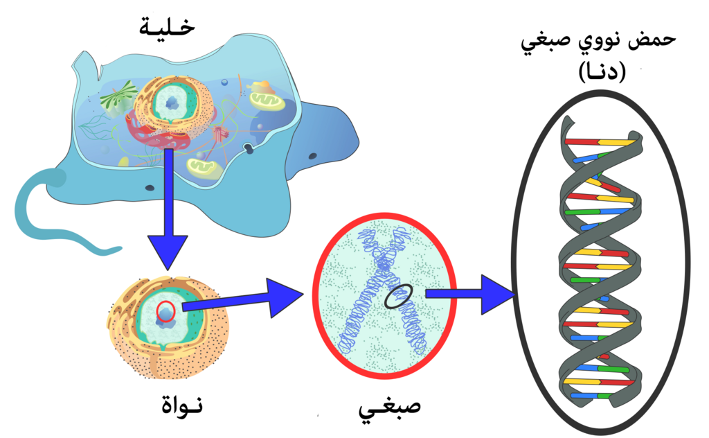 Lesson image