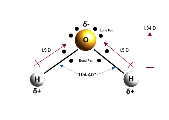 Lesson image