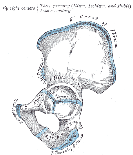 Lesson image
