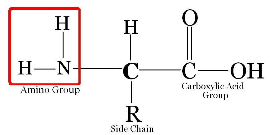 Lesson image