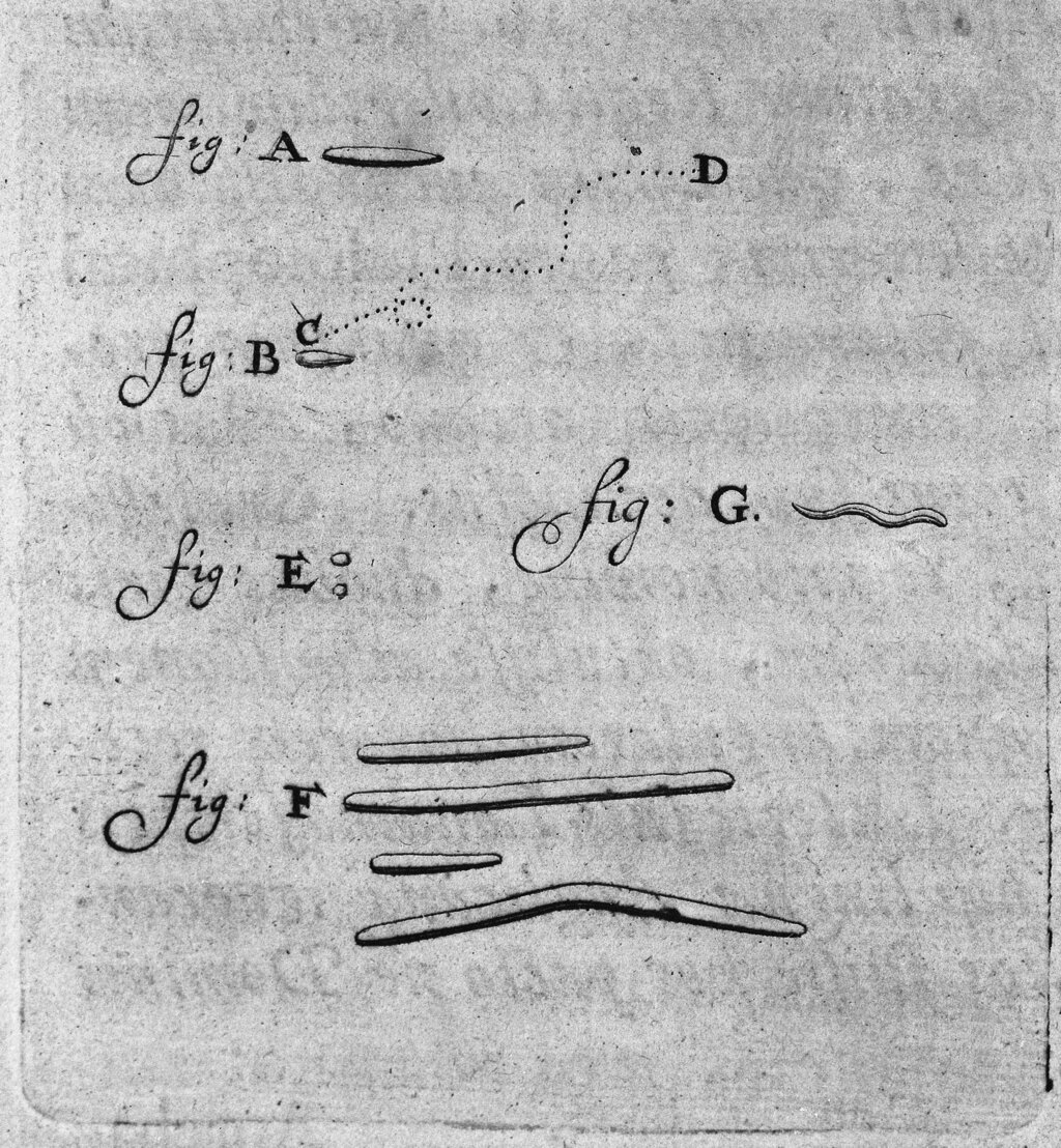 Lesson image