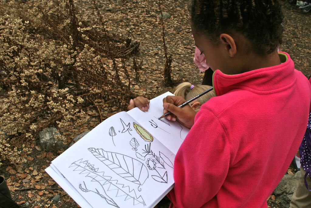 Lesson image