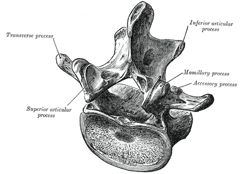 Lesson image