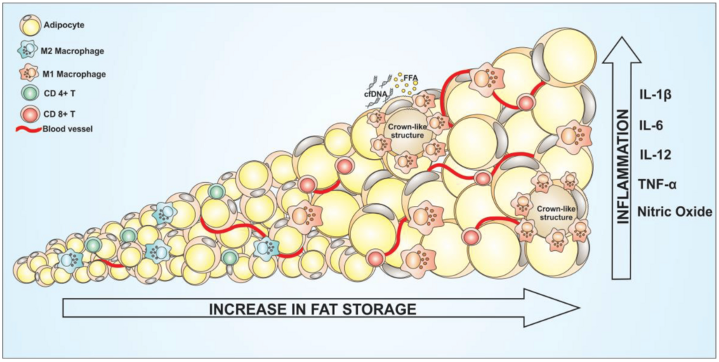 Lesson image