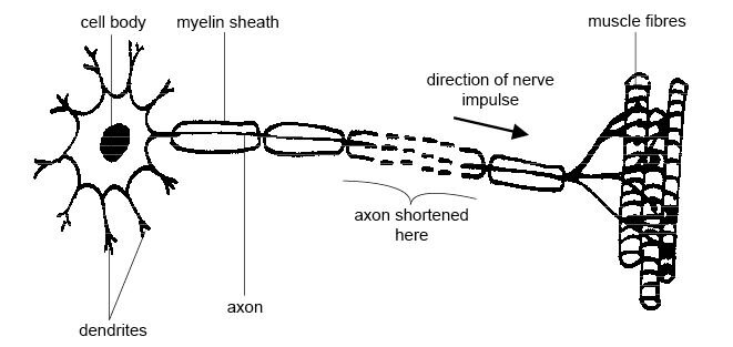 Lesson image