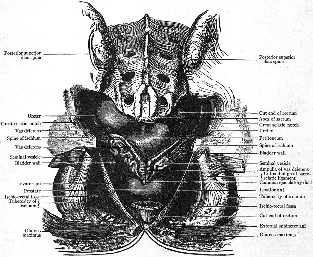 Lesson image