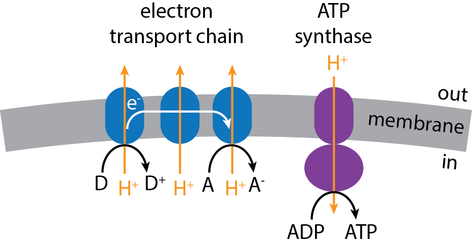 Lesson image