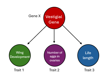 Lesson image