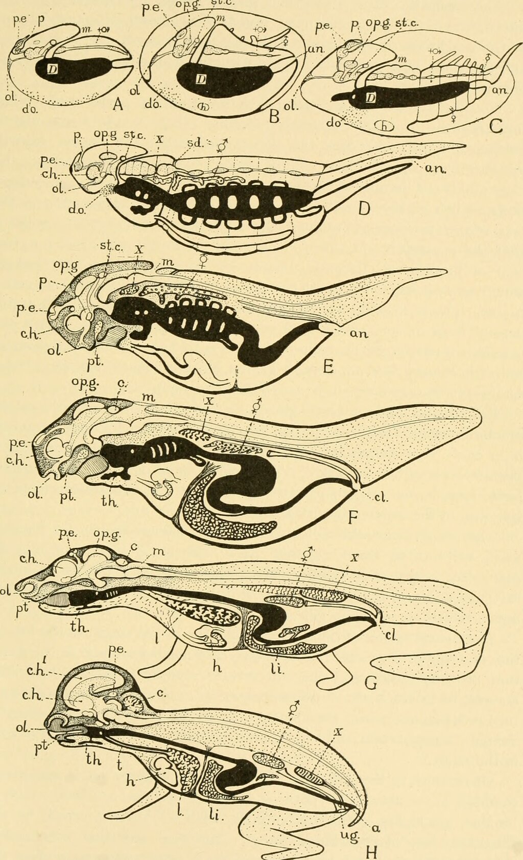 Lesson image