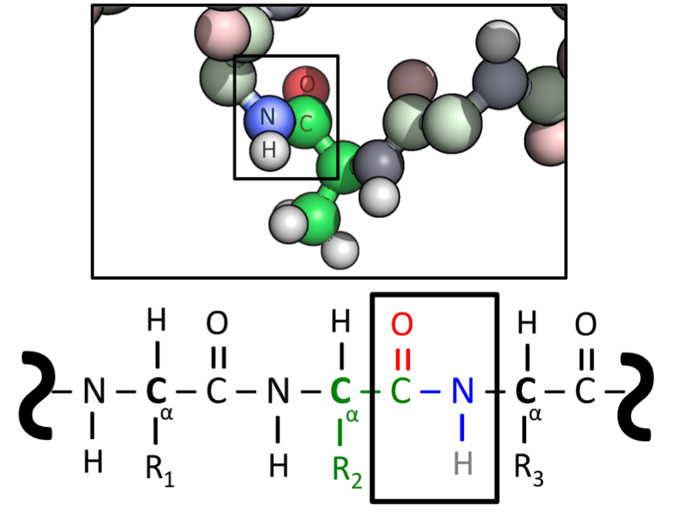 Lesson image