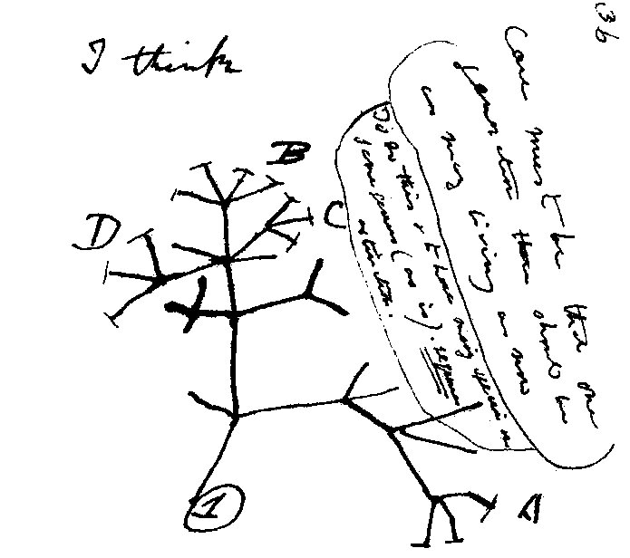 Lesson image