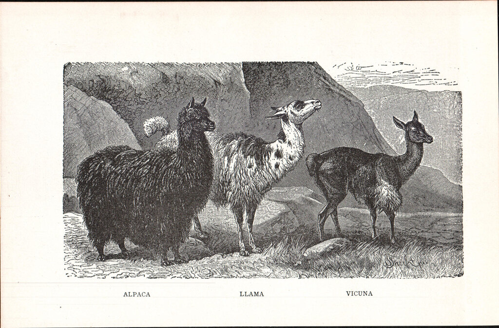 Lesson image