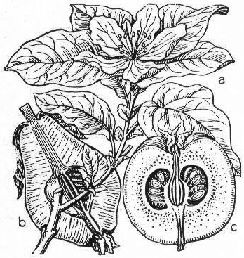 Lesson image