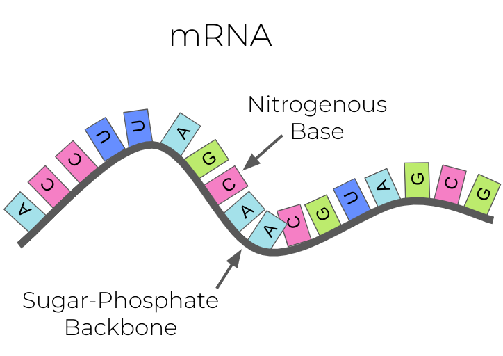 Lesson image