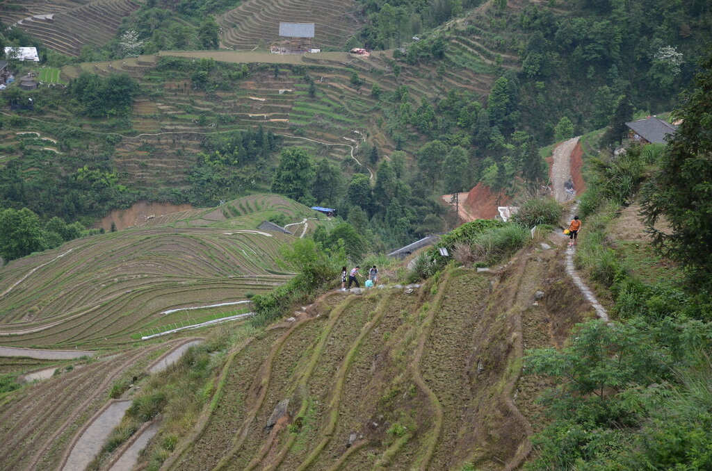 Lesson image