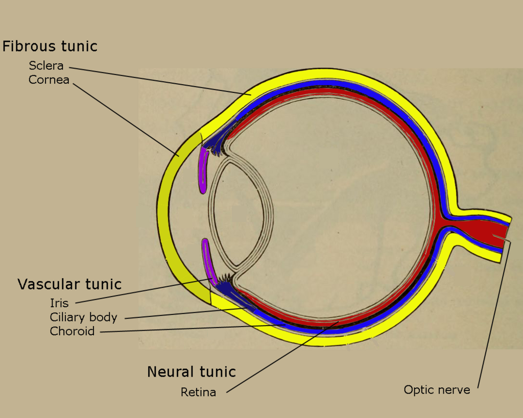Lesson image