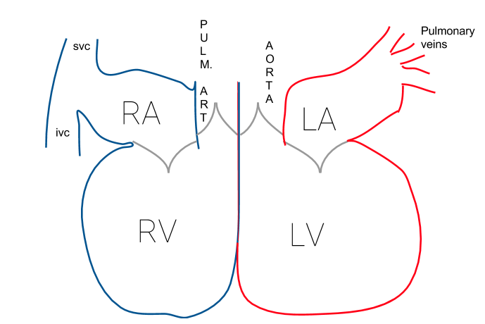 Lesson image