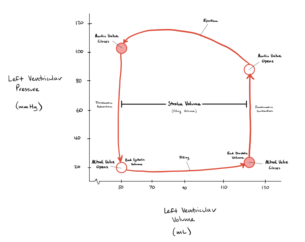 Lesson image