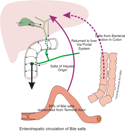 Lesson image