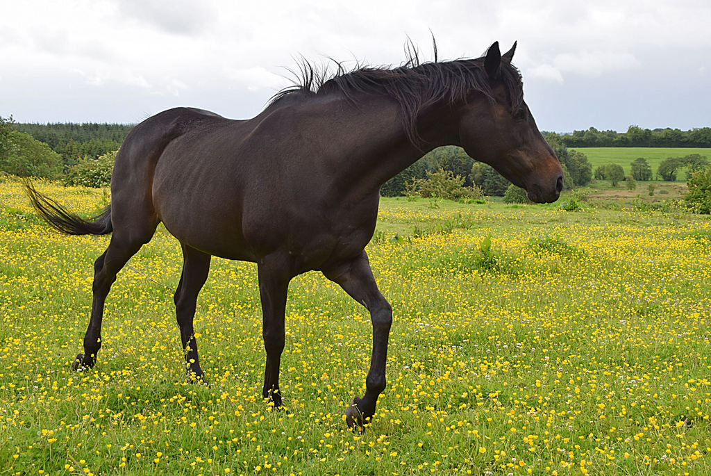 Lesson image
