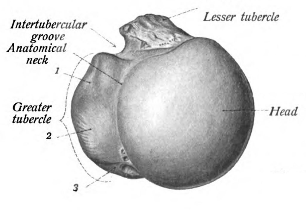 Lesson image