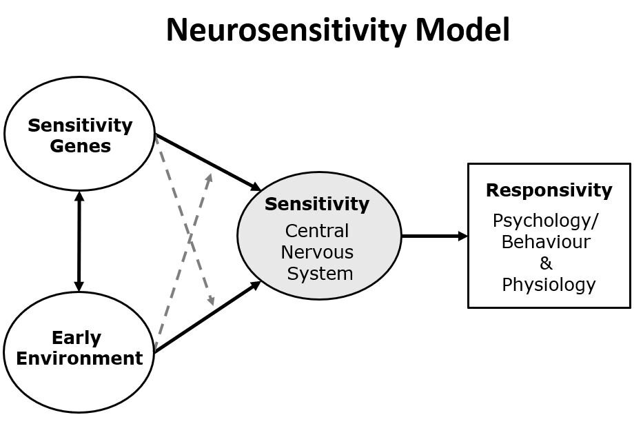 Lesson image