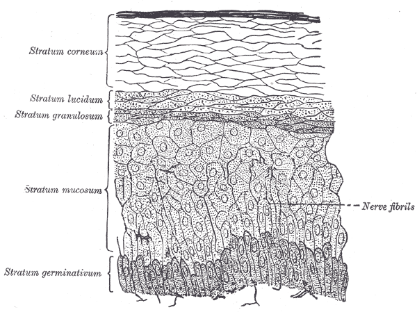 Lesson image