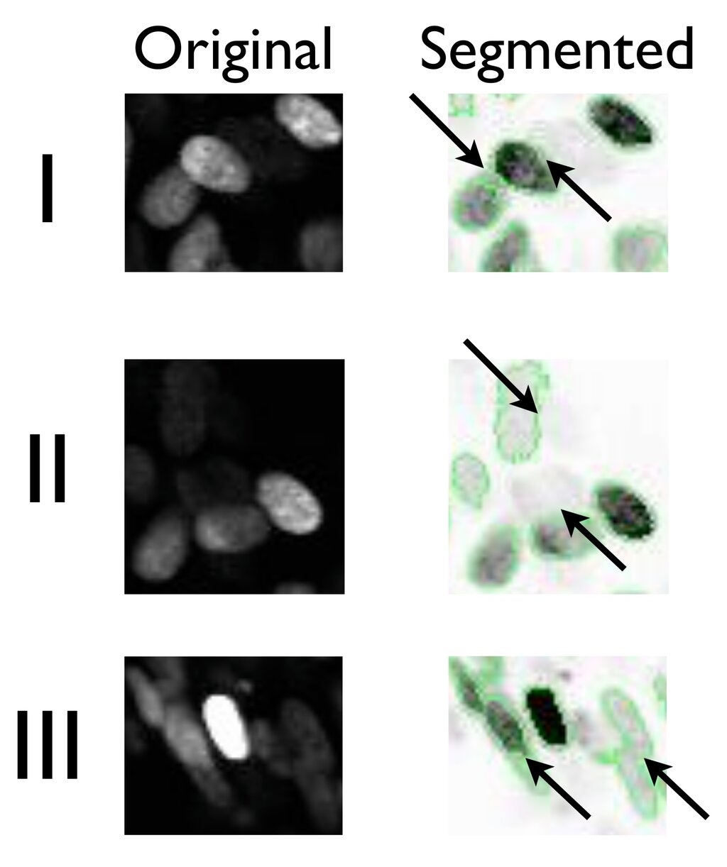 Lesson image