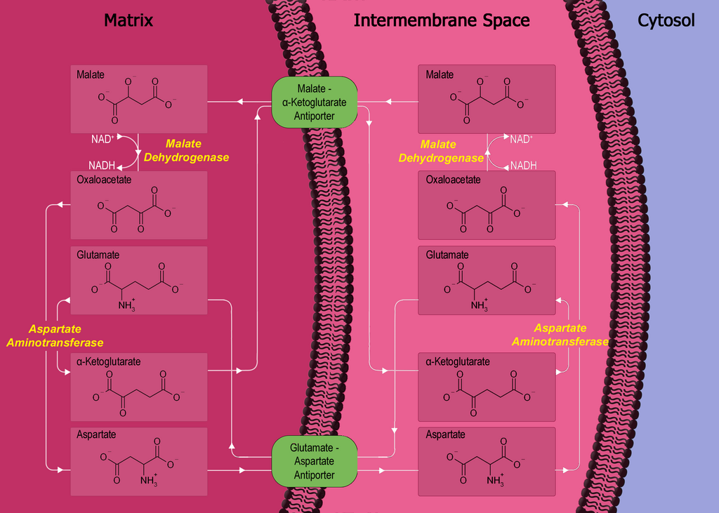 Lesson image