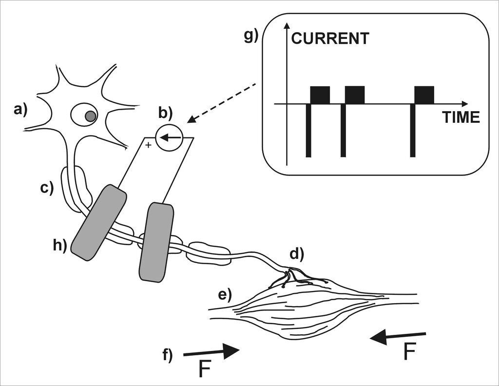 Lesson image