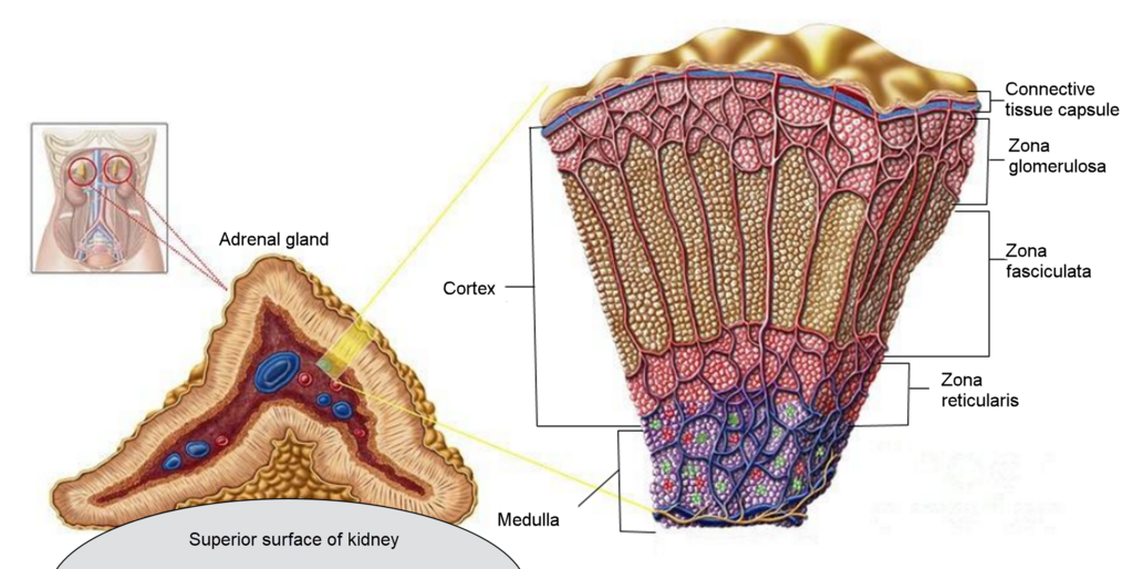 Lesson image