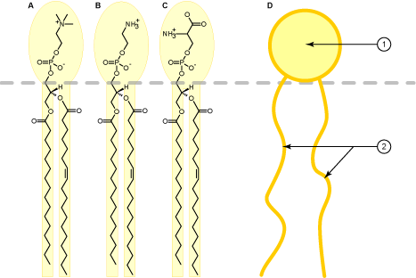 Lesson image