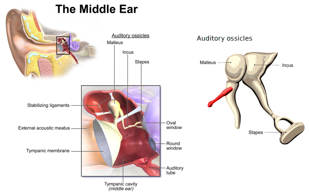 Lesson image