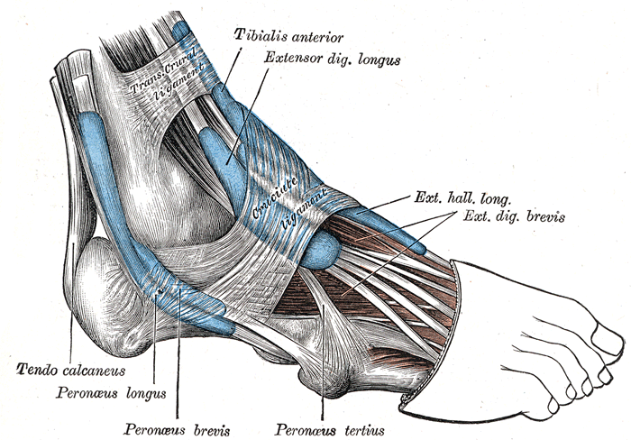 Lesson image