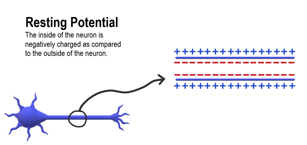 Lesson image