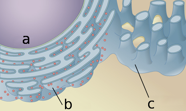 Lesson image