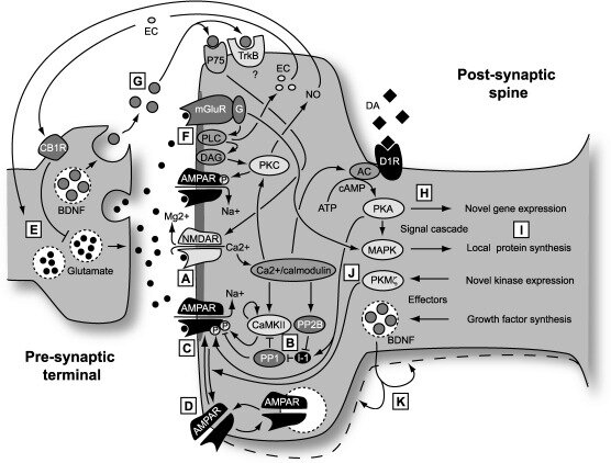 Lesson image