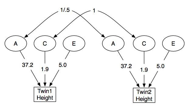 Lesson image