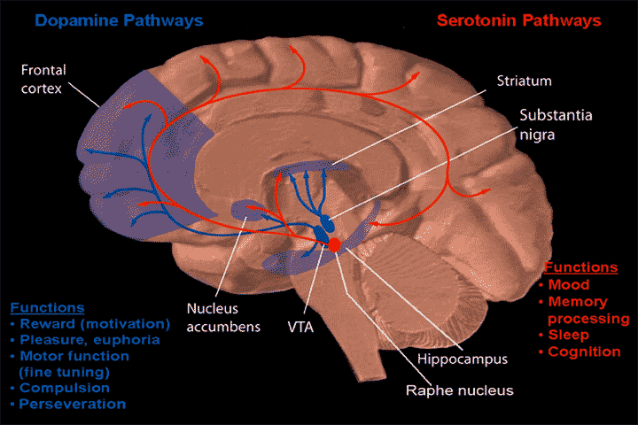 Lesson image