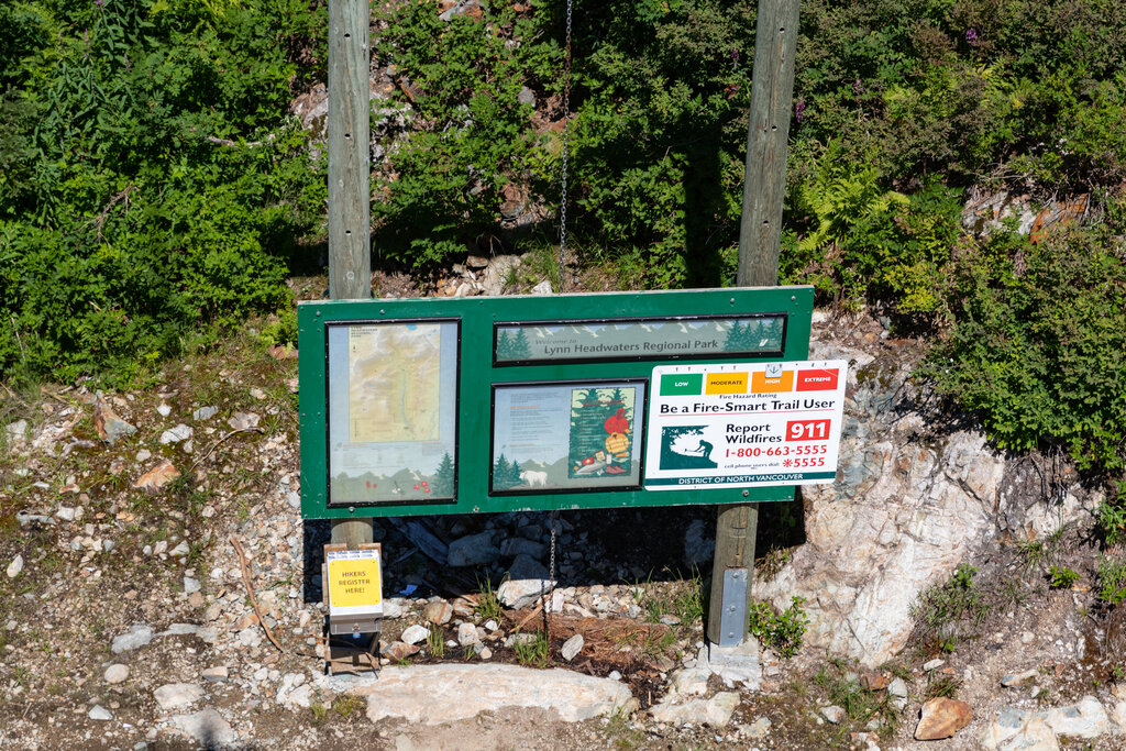 Lesson image