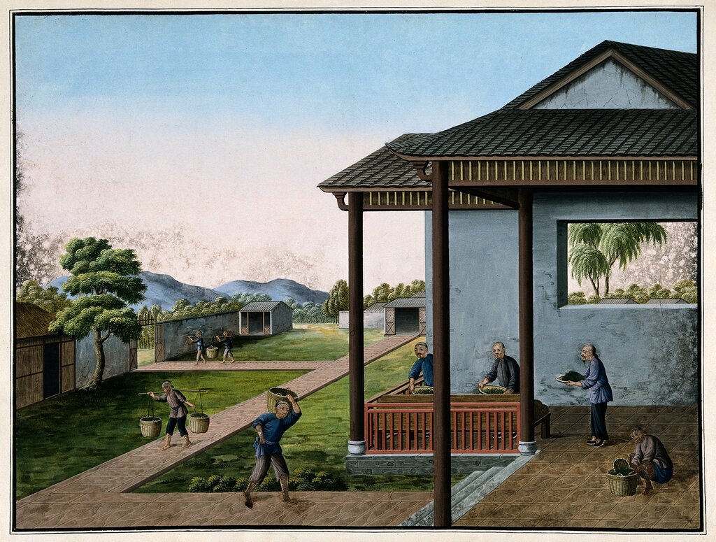 Lesson image