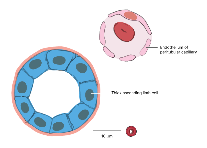Lesson image