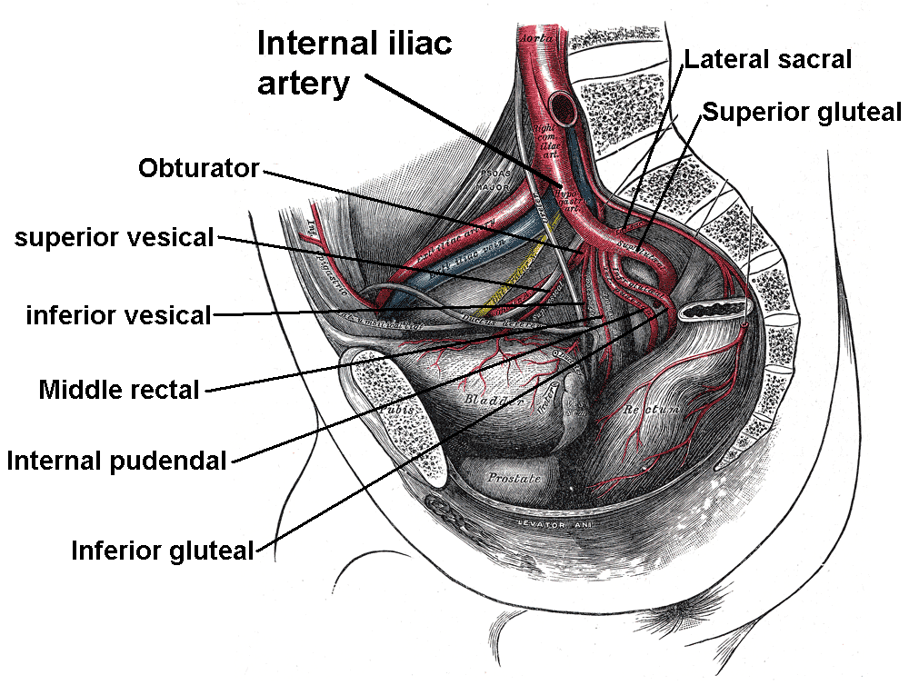 Lesson image