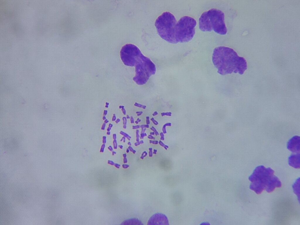 Lesson image