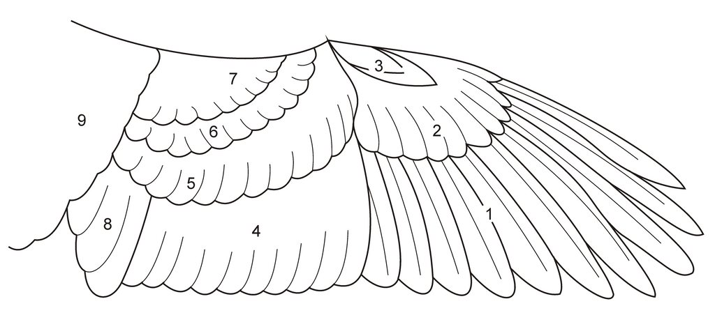 Lesson image