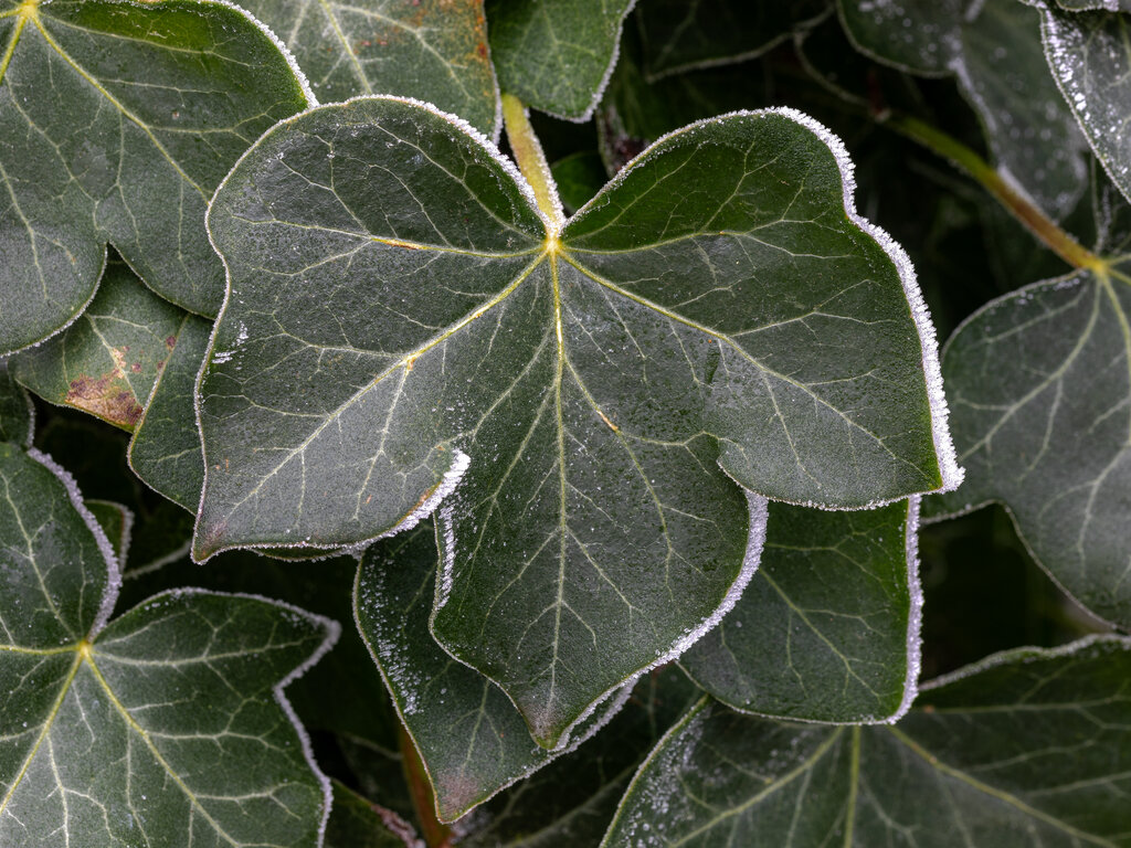Lesson image