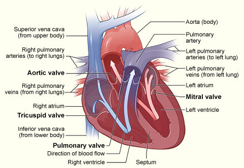 Lesson image