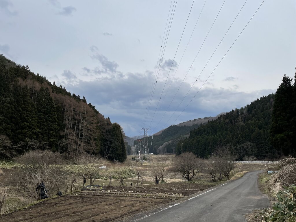 Lesson image